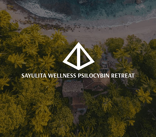 Sayulita Wellness logo