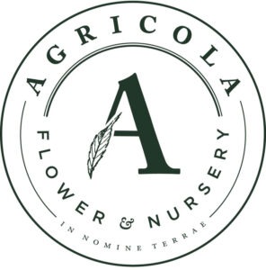 Awakening sponsor Agricola